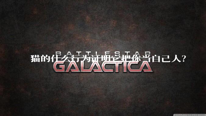 猫的什么行为证明它把你当自己人？